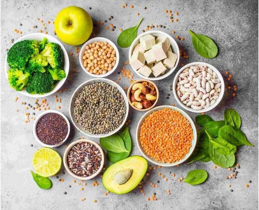 Protein Rich foods