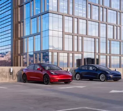 Tesla sued in Little Cases Court for Misleading Ads