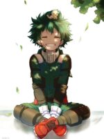 My Hero Academia Deku